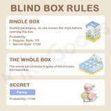 Liita Where Petals Settle Series Blind Box
