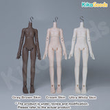 EchoBond Series Accessories【Shipped in Sept./Oct. 2026】