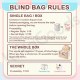 Square Cat Series Blind Box