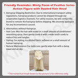 Minty Poem of Feathers Series Special 1/6 Action Figure BJD Blind Box