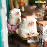Cat PAI Emotion Series Blind Box