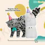 Mimi Maomao Series Blind Box