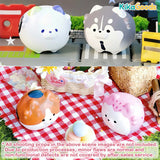 Yaybo's Costume Diary Series Blind Bag
