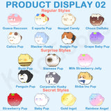 Yaybo's Costume Diary Series Blind Bag