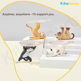 That Cat Has Your Back Series 2 Blind Box