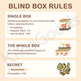 Worry Free for a Lifetime Series Blind Box