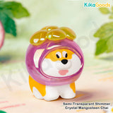 A Chai Goji Sweet & Tart Fruit Series Mini Bean Blind Bag