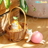 COMUGI Fruity Meow Series Blind Box
