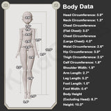 Rose Agency Series Special 1/6 Action Figure BJD Blind Box【Shipped in Sept. /Oct. 2026】