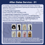 Mysterious Transfer Student Series Special 1/6 Action Figure BJD Blind Box【Shipped in Oct./Nov. 2026】