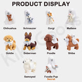 Ghody The Puppy Pals Series Blind Box